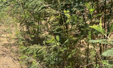 Parcela en venta en SAN PEDRO DE LA PAZ