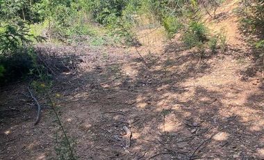 Parcela en venta en SAN PEDRO DE LA PAZ