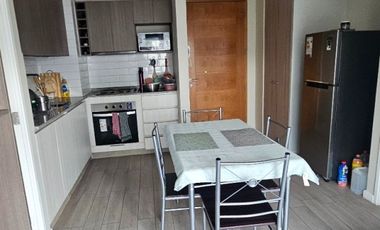 Vende departamento amoblado estilo mariposa en Concepción