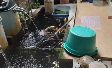 Dijual Rumah Full Furnish Diamond Park Residence + Mobil VW Polo 2013