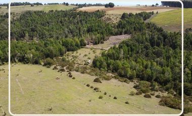 Oportunidad Parcelas Estaquilla Puerto Varas