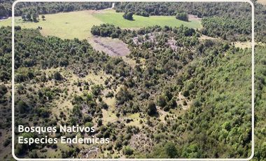 Oportunidad Parcelas Estaquilla Puerto Varas