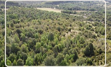 Oportunidad Parcelas Estaquilla Puerto Varas