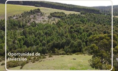 Oportunidad Parcelas Estaquilla Puerto Varas