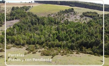 Oportunidad Parcelas Estaquilla Puerto Varas