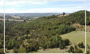 Oportunidad Parcelas Estaquilla Puerto Varas