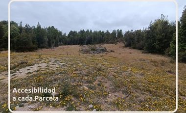 Oportunidad Parcelas Estaquilla Puerto Varas