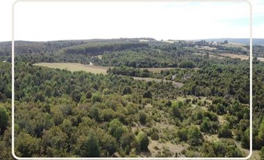 Oportunidad Parcelas Estaquilla Puerto Varas