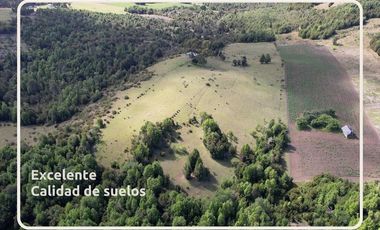 Oportunidad Parcelas Estaquilla Puerto Varas