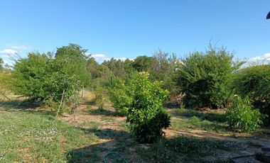 AL LADO DE RUTA L-710, A 20 MINUTOS DE SANTA CRUZ.