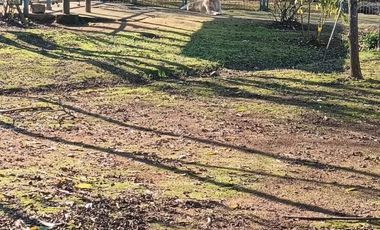 AL LADO DE RUTA L-710, A 20 MINUTOS DE SANTA CRUZ.