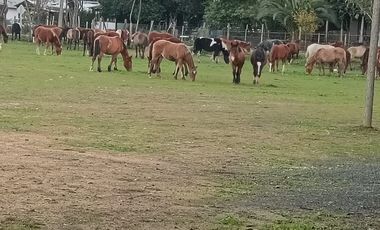 AL LADO DE RUTA L-710, A 20 MINUTOS DE SANTA CRUZ.