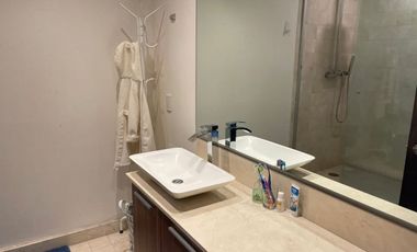 Bosque alto amueblado