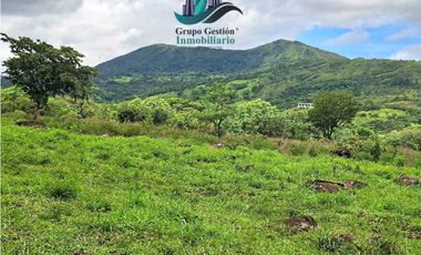 VENDO 14 hectareas +4370mts via CALDERA-.Chiriquicito