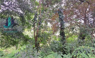 VENDO 14 hectareas +4370mts via CALDERA-.Chiriquicito