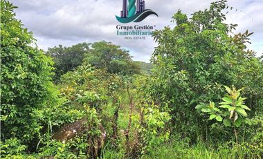 VENDO 14 hectareas +4370mts via CALDERA-.Chiriquicito