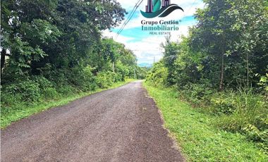 VENDO 14 hectareas +4370mts via CALDERA-.Chiriquicito