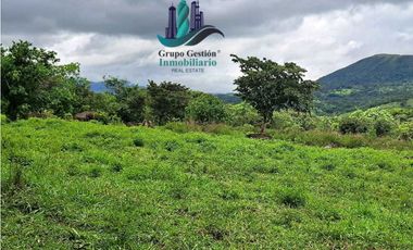 VENDO 14 hectareas +4370mts via CALDERA-.Chiriquicito