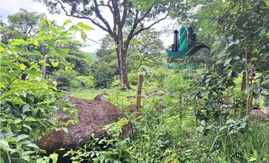 VENDO 14 hectareas +4370mts via CALDERA-.Chiriquicito