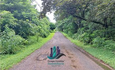 VENDO 14 hectareas +4370mts via CALDERA-.Chiriquicito