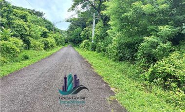 VENDO 14 hectareas +4370mts via CALDERA-.Chiriquicito