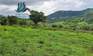 VENDO 14 hectareas +4370mts via CALDERA-.Chiriquicito