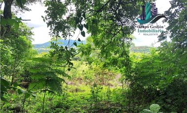 VENDO 14 hectareas +4370mts via CALDERA-.Chiriquicito