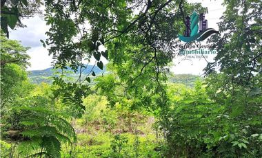 VENDO 14 hectareas +4370mts via CALDERA-.Chiriquicito