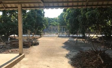 Land for sale in , Lamphun