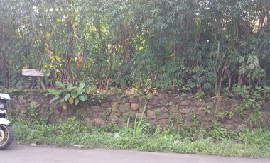 Jual tanah kosong..nego tipis tipis