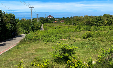 Tanah 1 Hektare Ungasan - Strategis Area