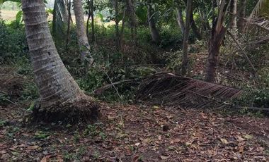 JUAL TANAH DI BUMIREJO LENDAH KULONPROGO