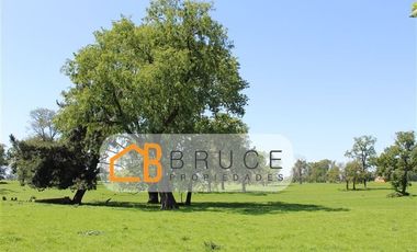 Parcela en Venta en Lomas de Pilauco, Osorno