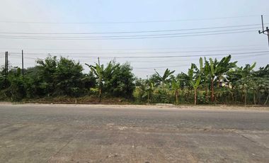 Dijual Tanah Cocok Untuk Gudang dan Pabrik di Rangkasbitung, Banten