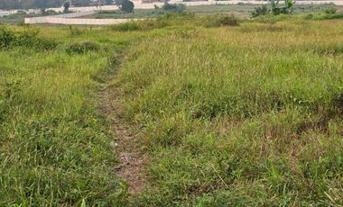 Dijual Tanah Cocok Untuk Gudang dan Pabrik di Rangkasbitung, Banten