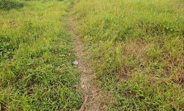 Dijual Tanah Cocok Untuk Gudang dan Pabrik di Rangkasbitung, Banten