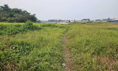 Dijual Tanah Cocok Untuk Gudang dan Pabrik di Rangkasbitung, Banten