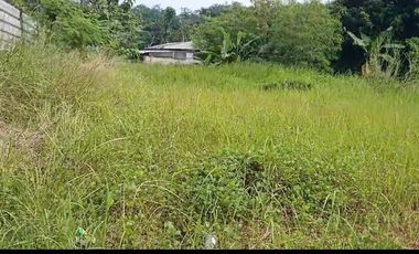 Jual tanah kosong 13000m