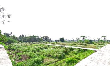 Ngombol Purworejo, Tanah Jl. Deandels Dekat Bandara Yia