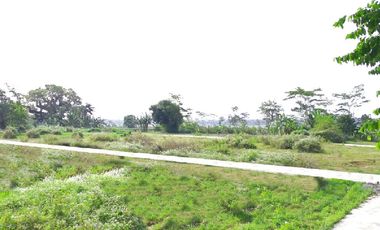 Ngombol Purworejo, Tanah Jl. Deandels Dekat Bandara Yia