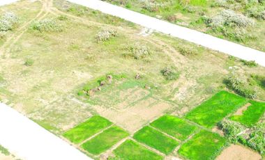 Ngombol Purworejo, Tanah Jl. Deandels Dekat Bandara Yia