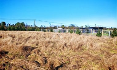 PARCELA PARCELACIÓN NOGALES EN TOTORAL.