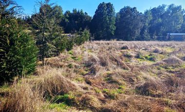 PARCELA PARCELACIÓN NOGALES EN TOTORAL.