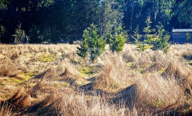 PARCELA PARCELACIÓN NOGALES EN TOTORAL.