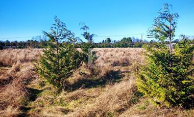 PARCELA PARCELACIÓN NOGALES EN TOTORAL.