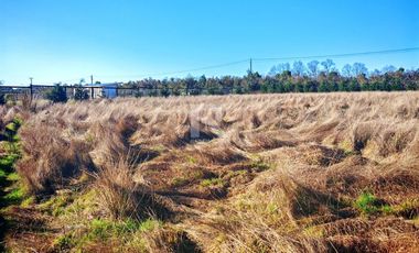 PARCELA PARCELACIÓN NOGALES EN TOTORAL.