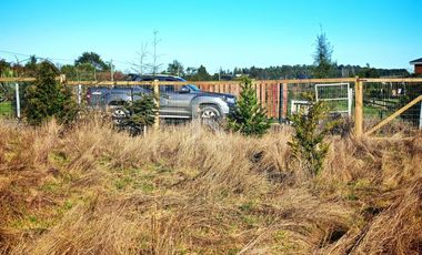 PARCELA PARCELACIÓN NOGALES EN TOTORAL.