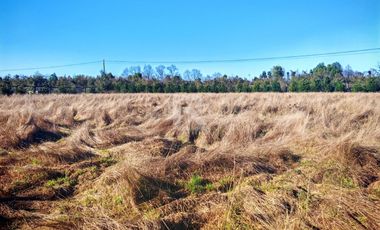 PARCELA PARCELACIÓN NOGALES EN TOTORAL.
