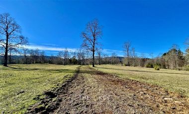 Parcela en Venta en Camino Villarrica - Pedregoso.