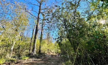 Parcela en Venta en Camino Villarrica - Pedregoso.